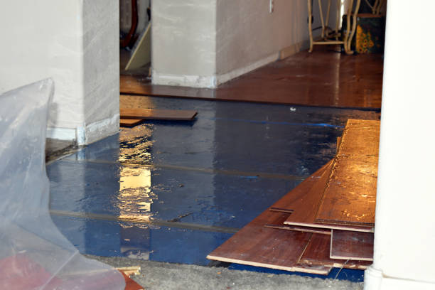 Professional Storm Water Damage Restoration technician working in Honey Grove, TX